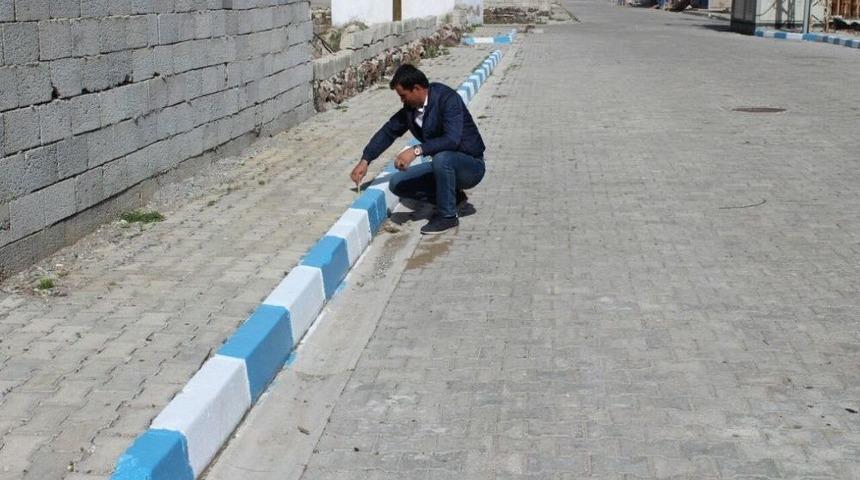 &Ccedil;aldıran&rsquo;ı G&uuml;zelleştirme &Ccedil;alışması