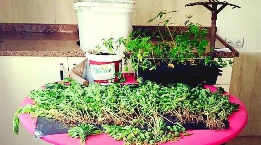 K&ouml;yceğiz&rsquo;de Uyuşturucu Operasyonu; 3 Tutuklama