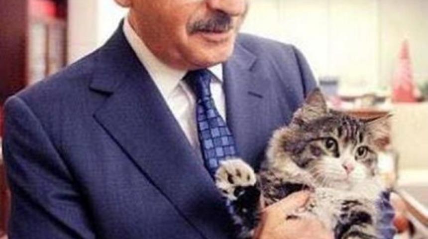 Chp&rsquo;Nin Kedisi 'şero' Kongrede Sunum Yaptı