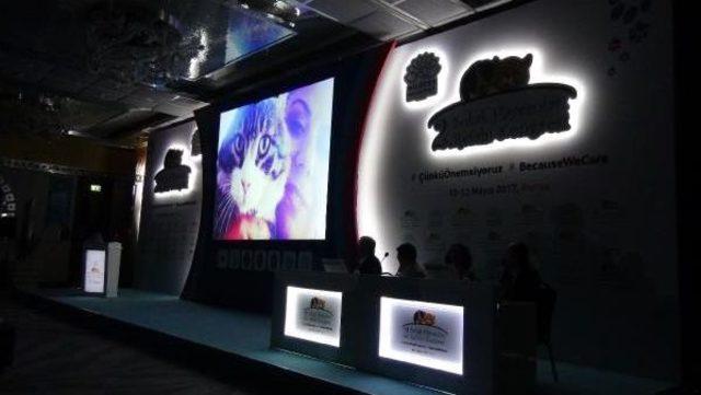 Chp&rsquo;Nin Kedisi  şero  Kongrede Sunum Yaptı 1