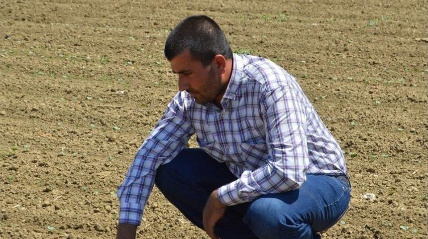 &Uuml;retici Yeniden Pamuğa Y&ouml;neldi