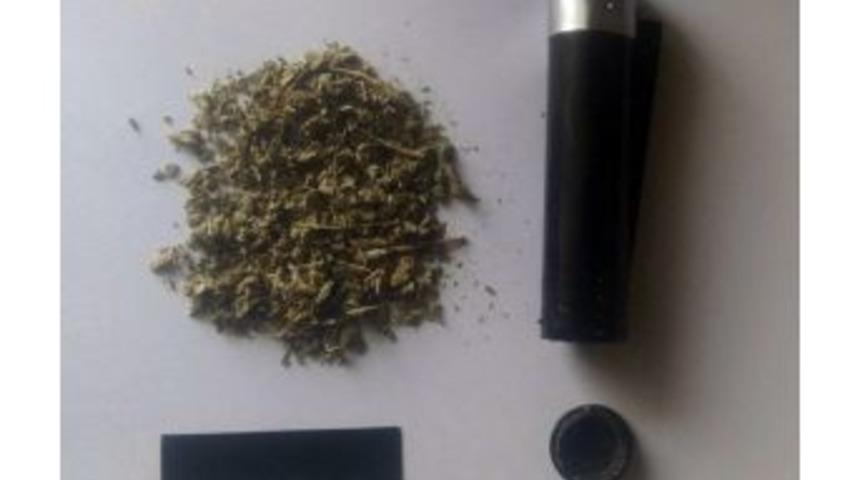 &Ccedil;akmağın İ&ccedil;inden Bonzai &Ccedil;ıktı