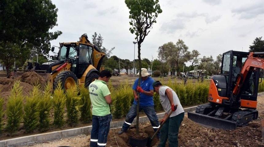 Aliağa Erguvan Ağa&ccedil;larıyla S&uuml;sleniyor