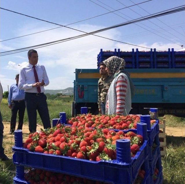 Tarımda Sigortasızlığı Azaltacaklar