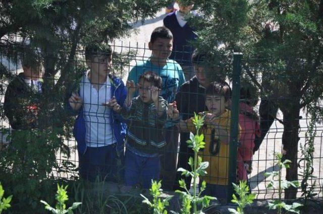 Okul Müdürü Okulun Önünde Kaza Yaptı Öğrenciler Böyle Izledi