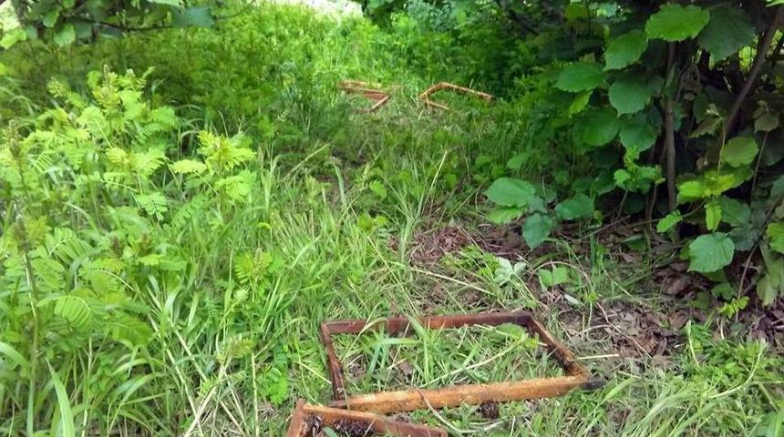 A&ccedil; Ayılar Arı Kovanlarını Par&ccedil;aladı