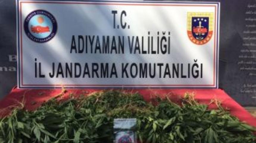 Jandarma Uyuşturucuya Ge&ccedil;it Vermiyor