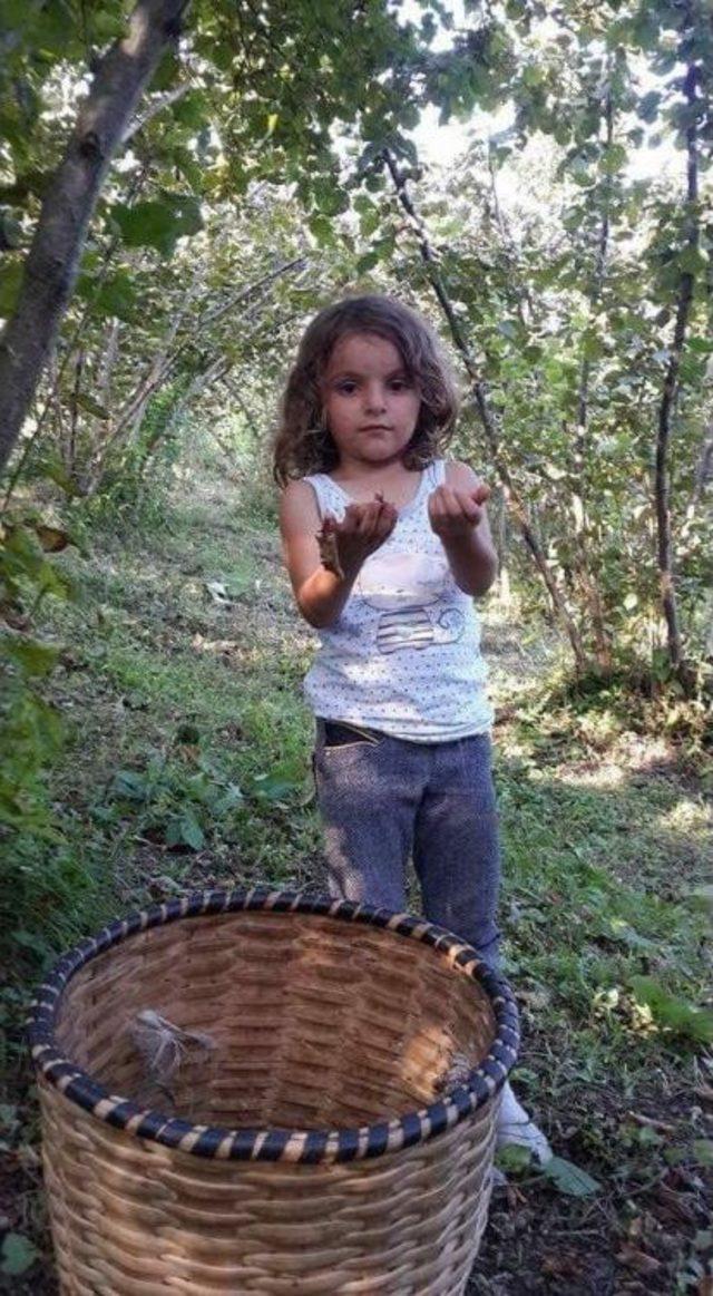 Giresun’da 6 Yaşındaki Kız Çamaşır Makinesinde Ölü Bulundu