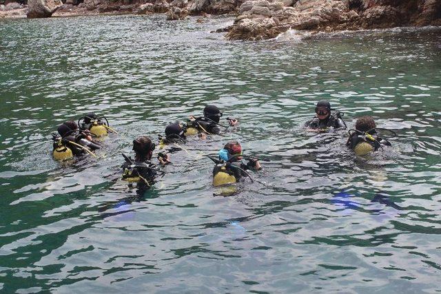 Düzce Üniversitesi Su Altı Topluluğu Dalış Eğitimlerine Devam Ediyor