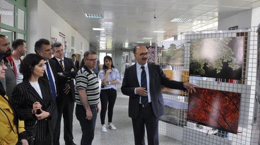 Japon Bah&ccedil;eleri Sergisi