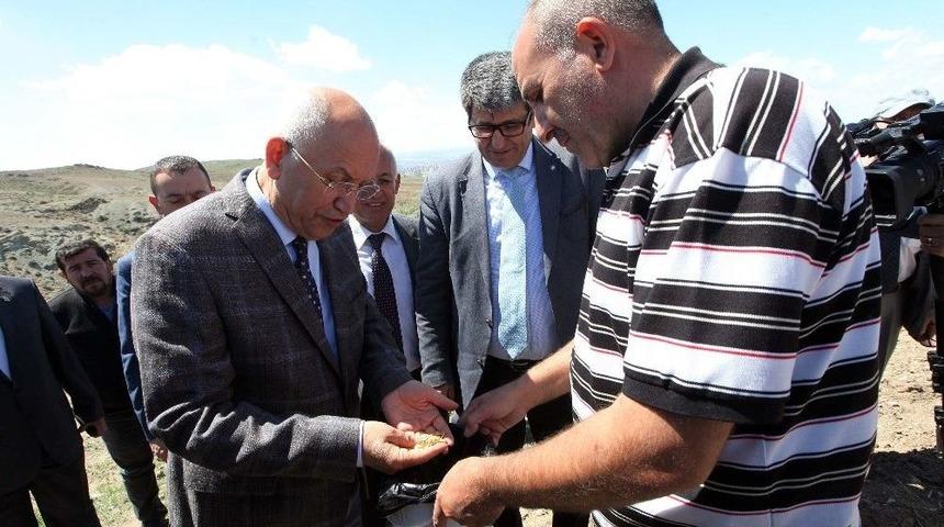 Efsane Kavun &rsquo;yuva&rsquo;sına D&ouml;nd&uuml;