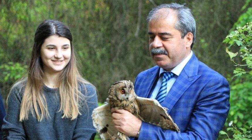 (&ouml;zel Haber) Emre Aşık&rsquo;ın Eşine Veteriner D&ouml;vd&uuml;ren Baykuş Doğaya Salındı