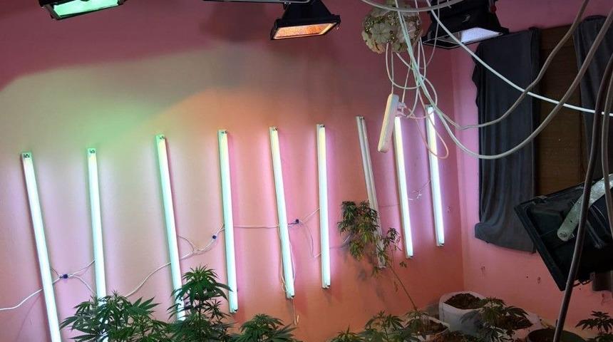 Apartman Dairesinde Uyuşturucu Fabrikası