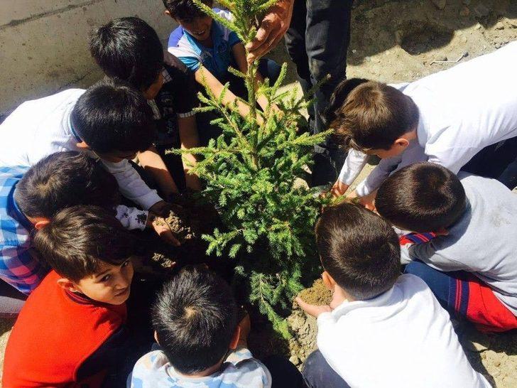 Esendere Belediyesi 2 Bin 650 Fidan Dağıttı G1