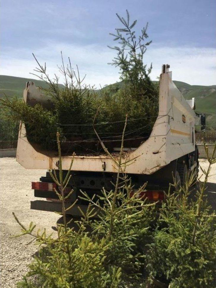 Esendere Belediyesi 2 Bin 650 Fidan Dağıttı G4