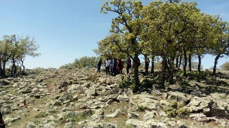 Hava Ambulansı Uçurumdan Düşen Genç Kız İçin Havalandı G1