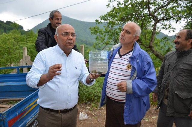 Ejderha Bulduğunu Sandı, Veteriner Gerçeği Açıkladı