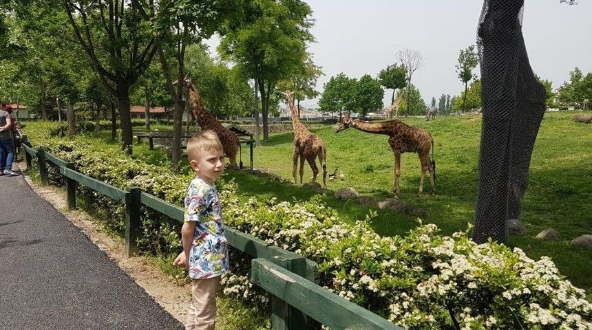 Miniklerin Z&uuml;rafa Heyecanı