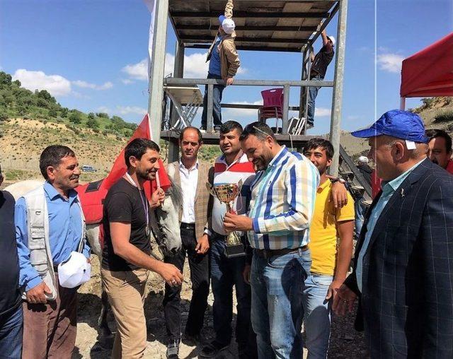 Tacettin Yert&uuml;m, Yarış Ağası Oldu 1