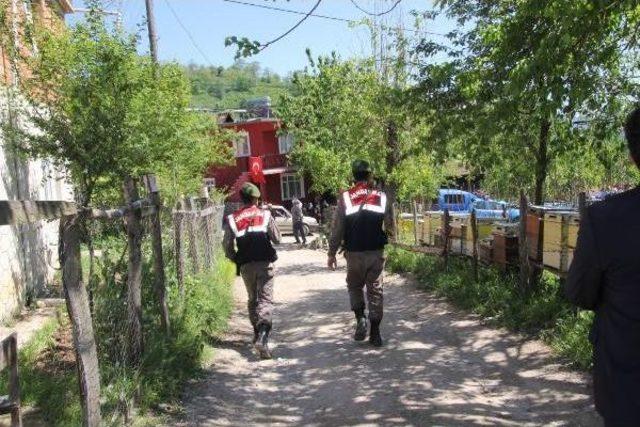 Ordu'da Kaybolan 3.5 Yaşındaki Mert Efe Için Arama Seferberliği (2)