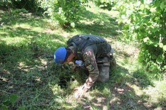 Ordu'da Kaybolan 3.5 Yaşındaki Mert Efe Için Arama Seferberliği (2)