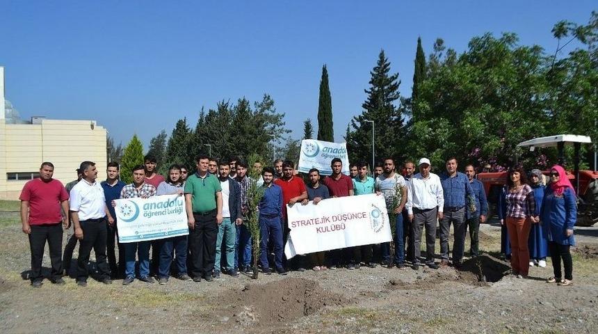 15 Temmuz Şehitleri İ&ccedil;in Fidanlık Oluşturuldu