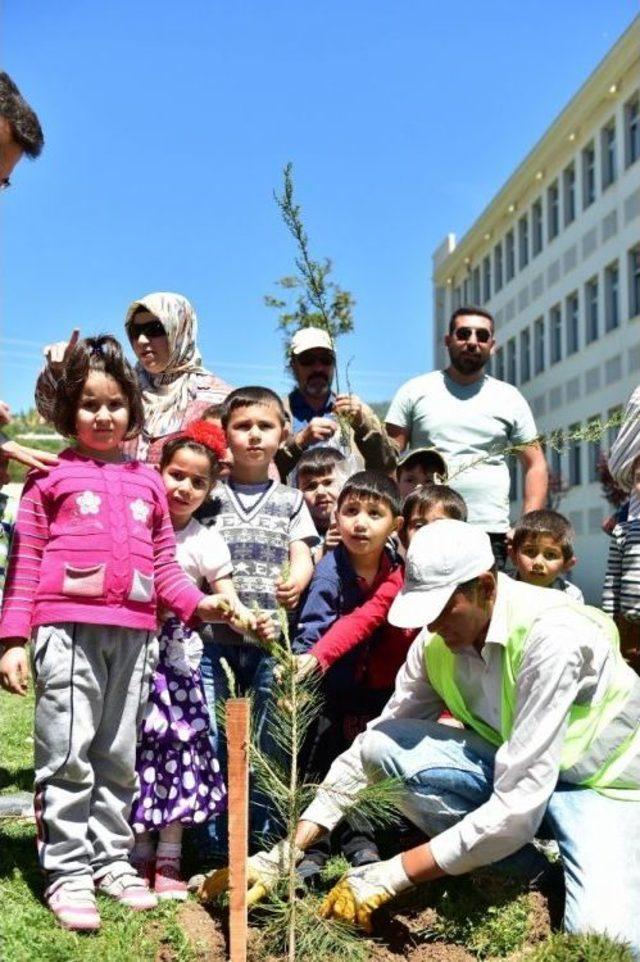 Dulkadiroğlu Belediyesi Miniklerle Anneler Günü İçin Fidan Dikti