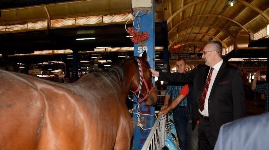 &Ccedil;obanlar Karacabey&rsquo;de Buluştu