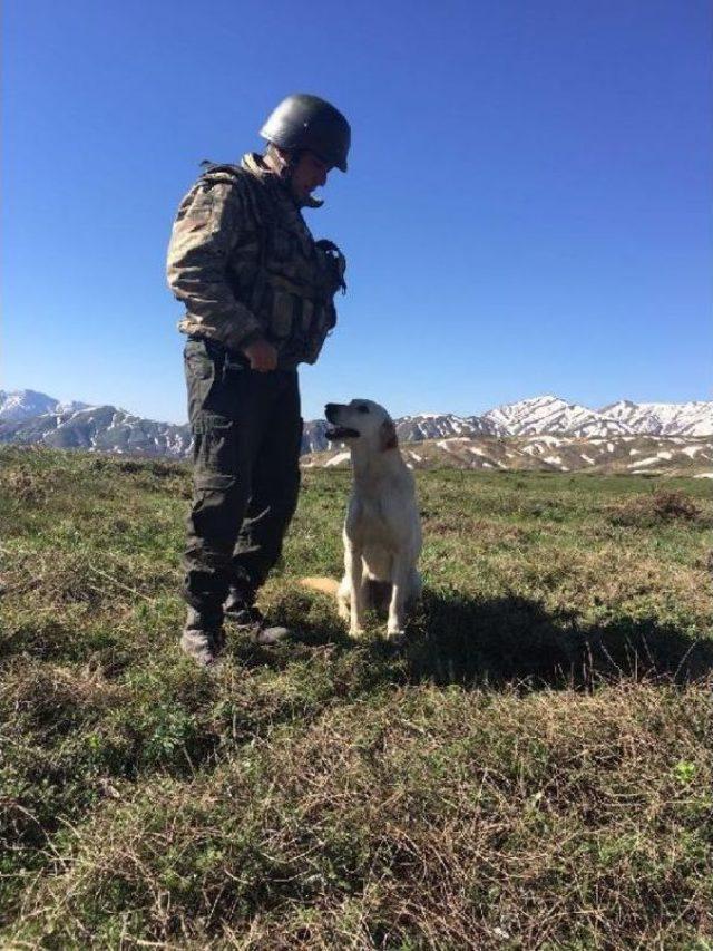 Şenyayla Kırsalında Ter&ouml;ristlere Ait Patlayıcılar Imha Edildi 2