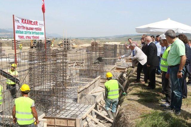 Akhisar Zeytinde Uzmanlaştı 2