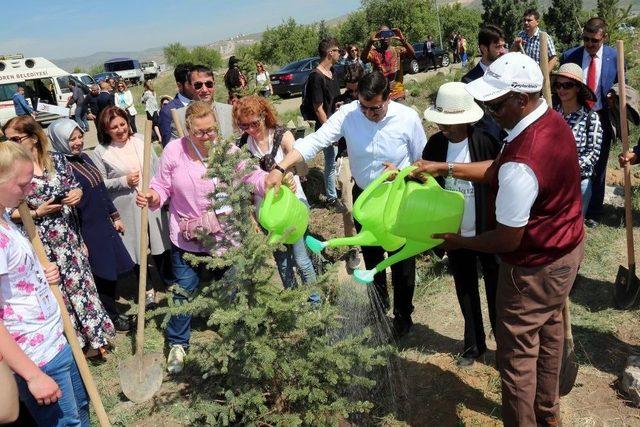 Tutsi Soykırımında Ölenlerin Anısı Kent Ormanı’nda Yaşatılacak