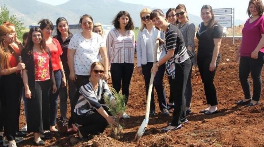 Kadın Sanayiciler Fidan Dikti