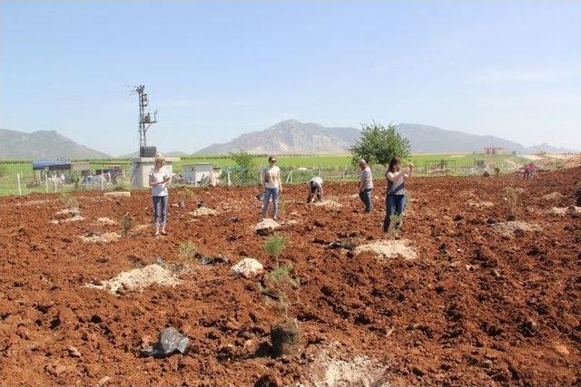 Kadın Sanayiciler Fidan Dikti