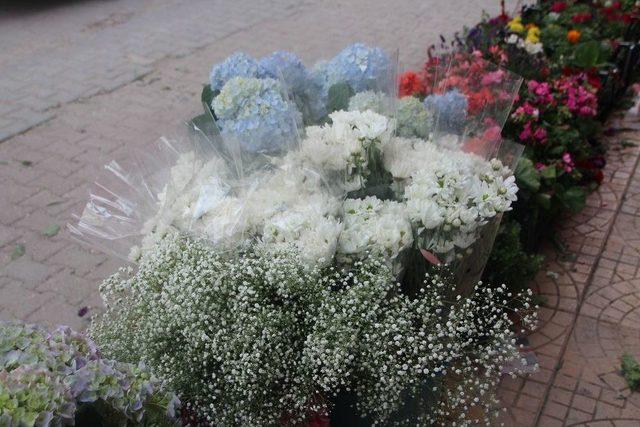 Bilecik’te En Çok Karanfil Ve Papatya Tercih Ediliyor 1