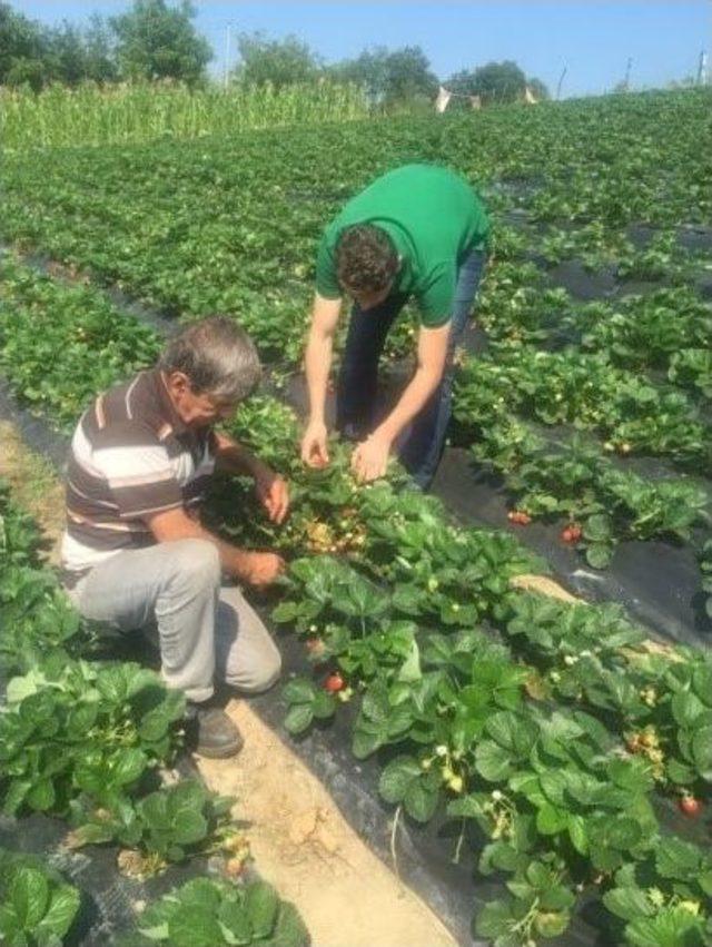 Büyükşehir’in Çiftçilere Desteği Devam Ediyor