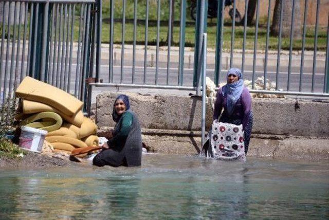 Adana'da Sıcaktan Bunalanlar Serin Yerlere Koştu