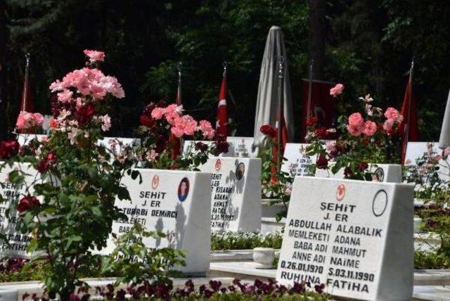 Şehitlikte 'anneler Günü' Hazırlığı