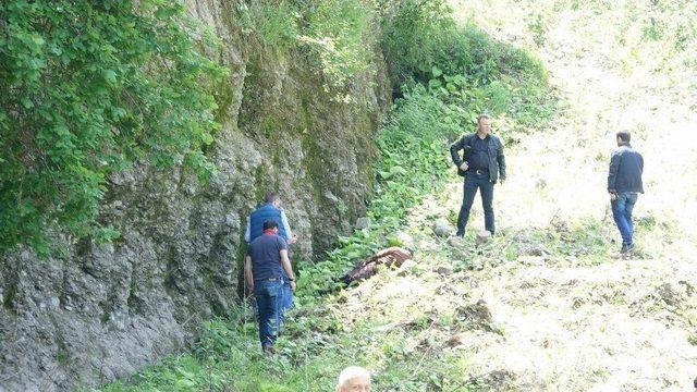 Trabzon&rsquo;da Bir Haftadır Kayıp Bir Kadının Cesedi Bulundu 1