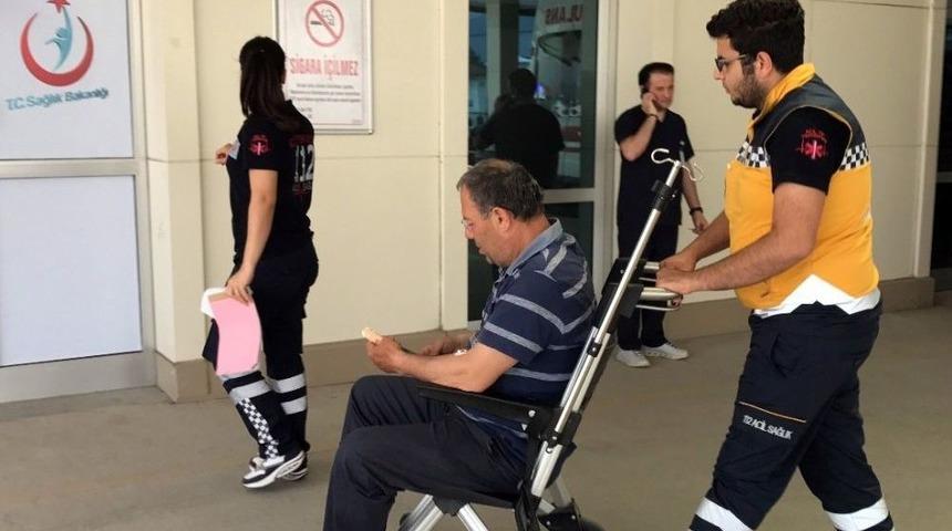 Öldürmek İstediği Yılan Bacağından Soktu