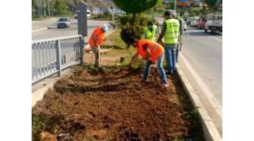 Tunceli&rsquo;de &Ccedil;i&ccedil;eklendirme &Ccedil;alışması
