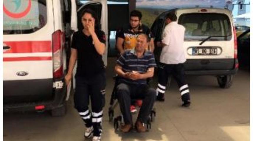 Bah&ccedil;eyi Temizlerken Yılan Isırdı, Hastanelik Oldu