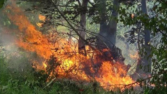 Tarlada Lokma Pişirirken Yangın Çıktı