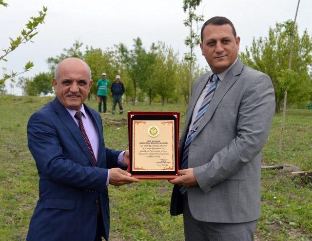 L&uuml;leburgaz&rsquo;da Bin Toros Sediri Dikildi 2