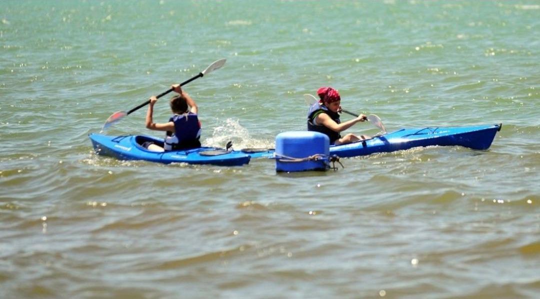 Survivor Değil &lsquo;van&rsquo;vivor