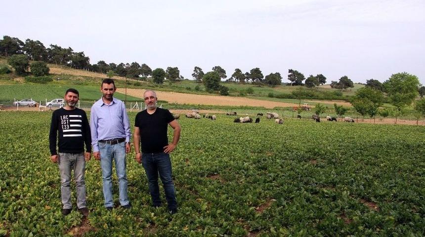 Bu &Ccedil;iftlik Ziyaret&ccedil;i Akınına Uğruyor