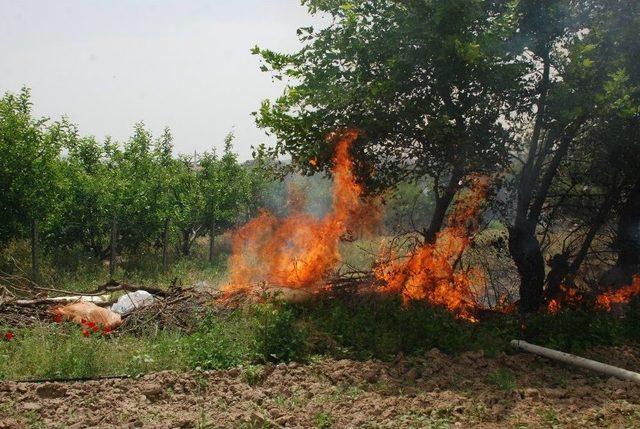 Bah&ccedil;eler Arasında Orman Yangını 1