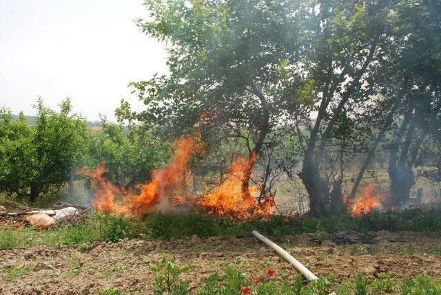 Bah&ccedil;eler Arasında Orman Yangını 2