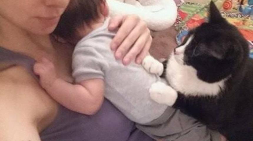 Kim demiş bebekli evde kedi olmaz diye!