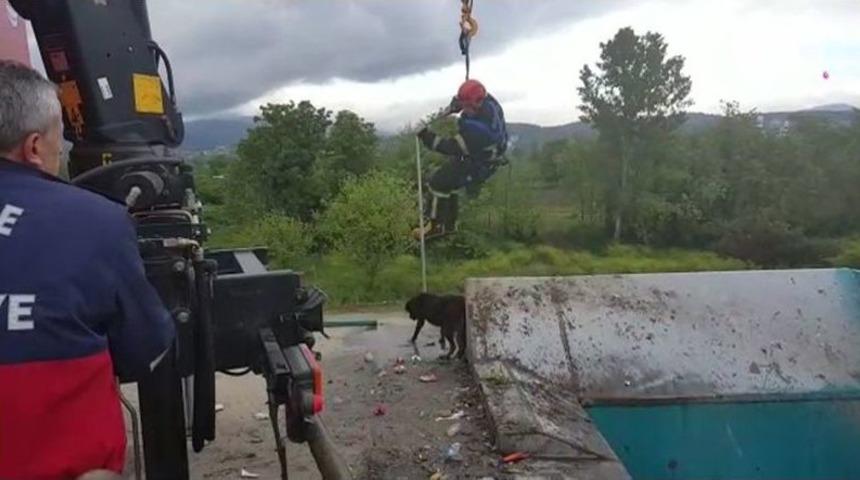 &Ccedil;&ouml;pe D&uuml;şen K&ouml;peği İtfaiye Kurtardı