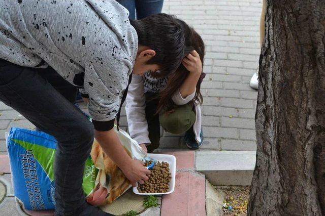 (özel Haber) Öğrencilerin Harçlıkları Mama Oldu